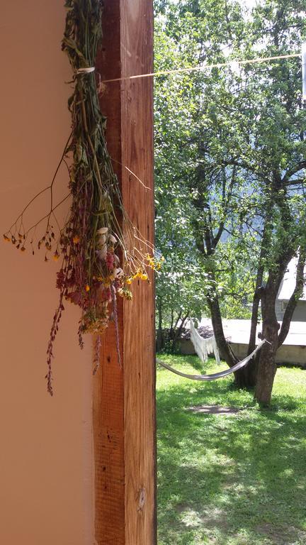 Guesthouse Mountain View Mestia Kültér fotó